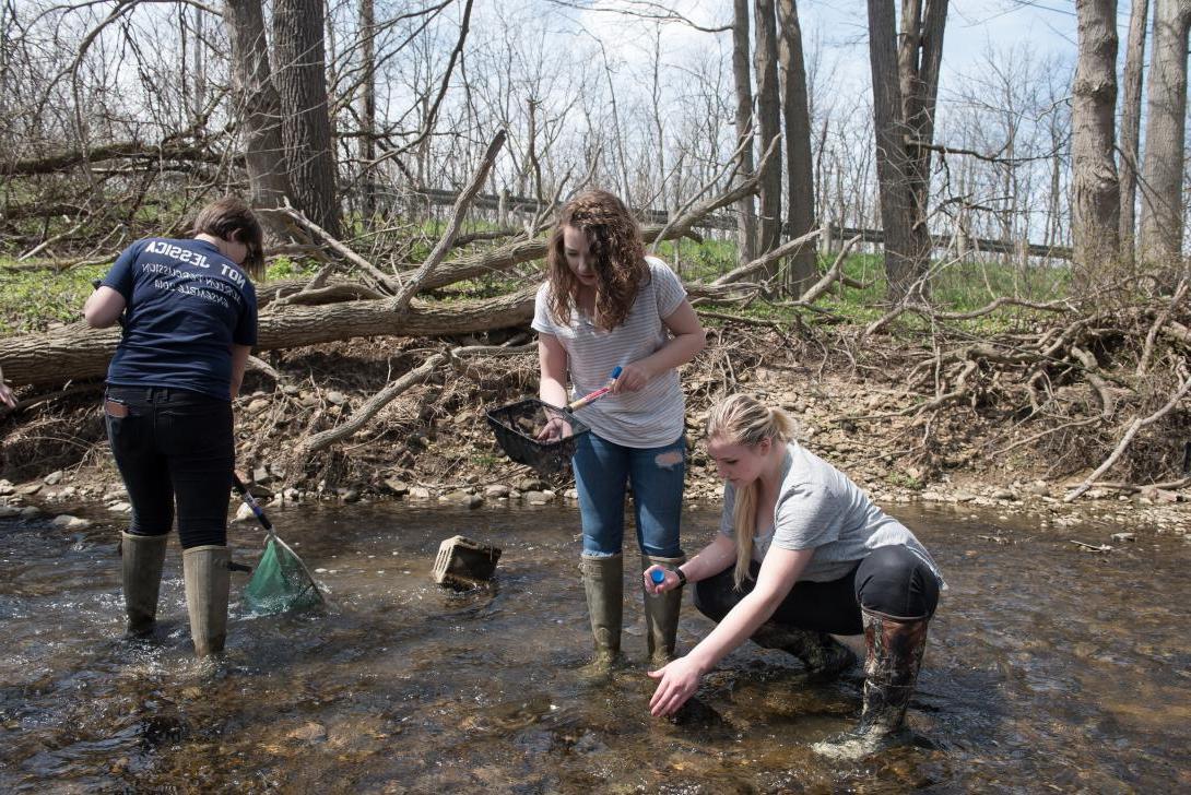 Students doing stream clean-up at Canfield preserve